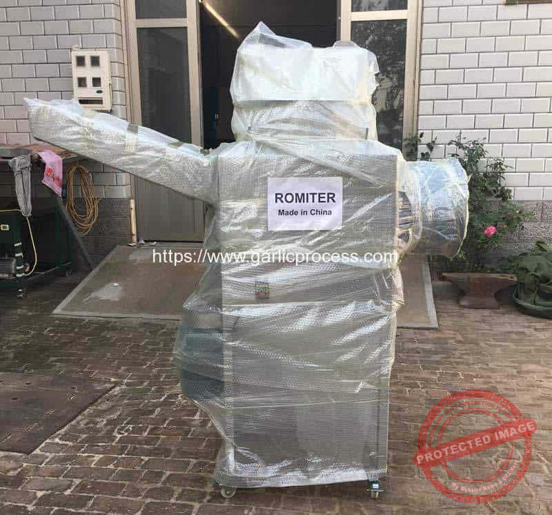 Automatic-Garlic-Clove-Breaking-for-Poland-Customer
